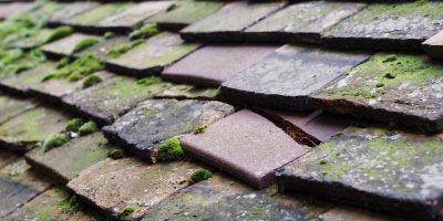 Fairwater roof repair costs